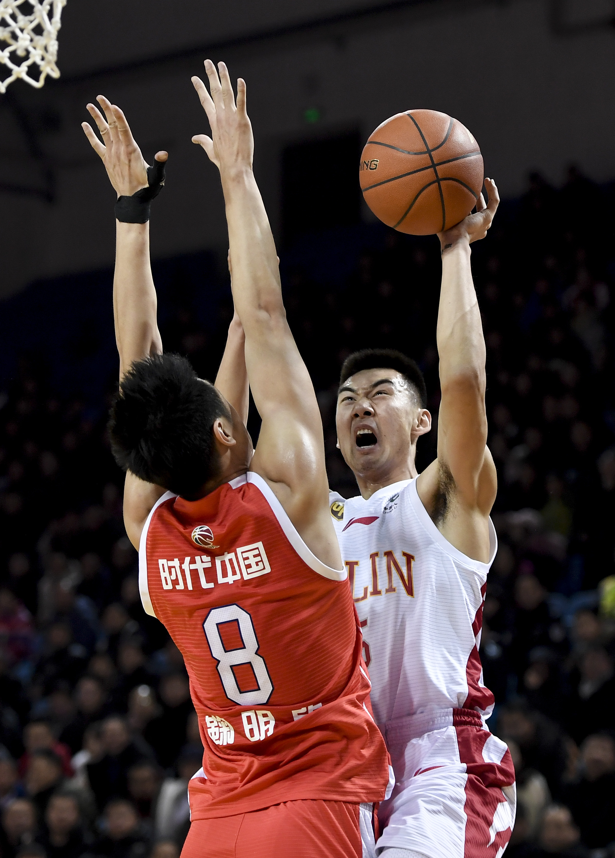 的巨大肯定 的巨大肯定